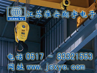 起重限制保護(hù)系統(tǒng)廠家江蘇淮安翔宇電子測(cè)控自動(dòng)化起重機(jī)超載限制器 起重超載限制器保護(hù)系統(tǒng)安全可靠堅(jiān)固耐用 更多起重機(jī)起重限制器就在www.jxsfauhm.cn 電話0517-83321553